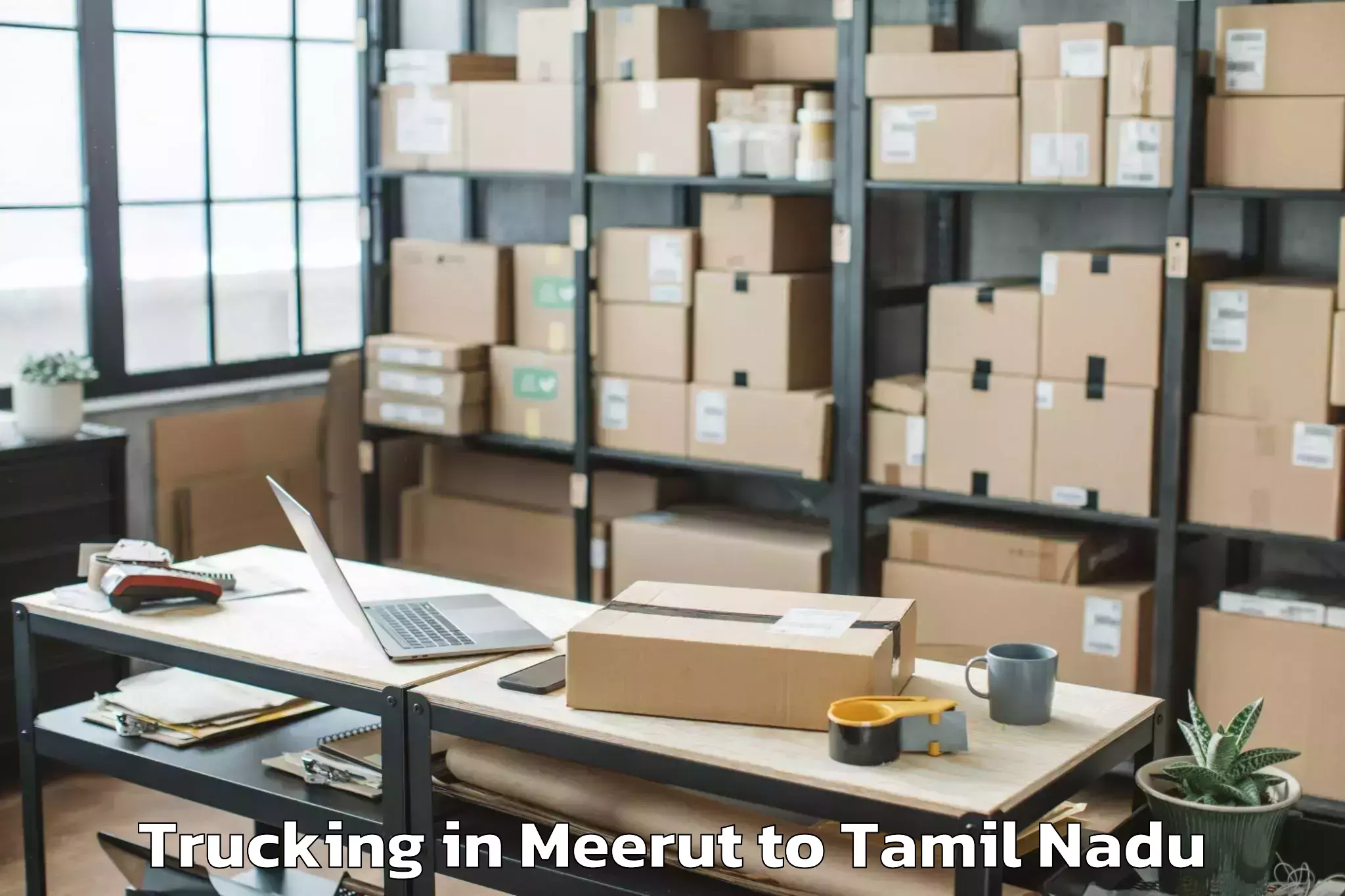 Reliable Meerut to Tamil University Thanjavur Trucking